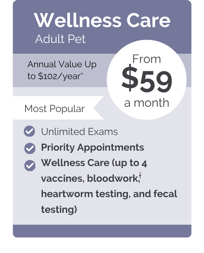 Quality Vet VIPet pricing wellness